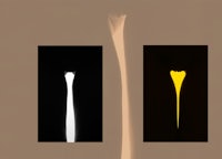 a black and white image of a flower and a yellow one