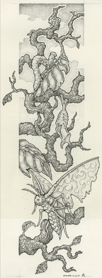 a drawing of a moth on a branch
